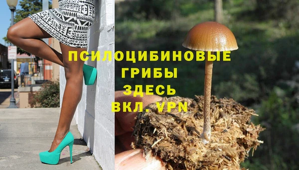 твердый Алексеевка