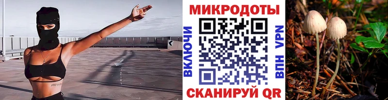 ссылка на мегу ONION  Чёрмоз  Псилоцибиновые грибы Psilocybe 