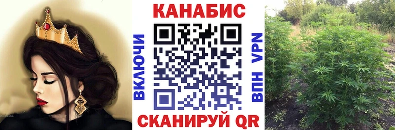 цена   Чёрмоз  Бошки Шишки план 